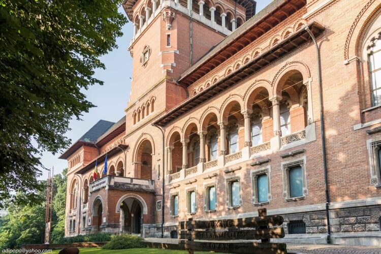Expoziția ”Emoții” a lui Rareș Beșliu, cu fotografii despre viața sălbatică, va putea fi admirată Festivalul ”Bucharest Photofest”