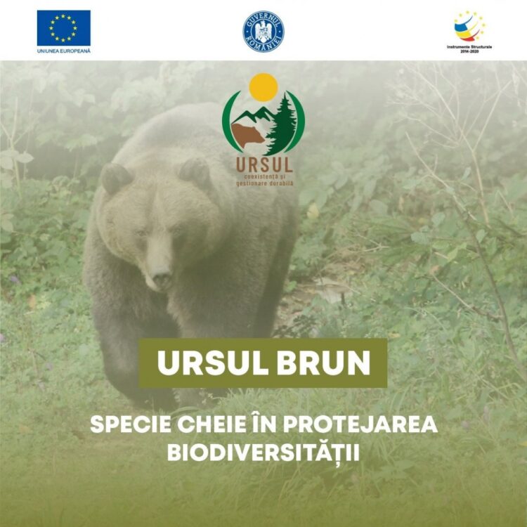 Ministerul Mediului desfășoară o campanie media de informare și conștientizare a publicului larg cu privire la conservarea populației de urs brun din România