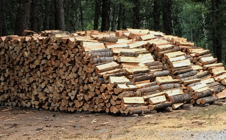 Guvernul României a plafonat prețul lemnelor de foc la 400 de lei pe metrul cub