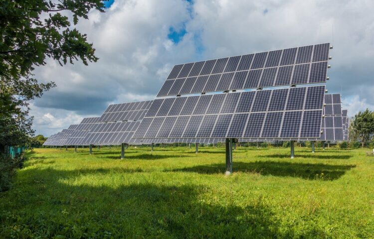 Patru parcuri fotovoltaice vor fi construite de OMV Petrom în parteneriat cu Complexul Energetic Oltenia