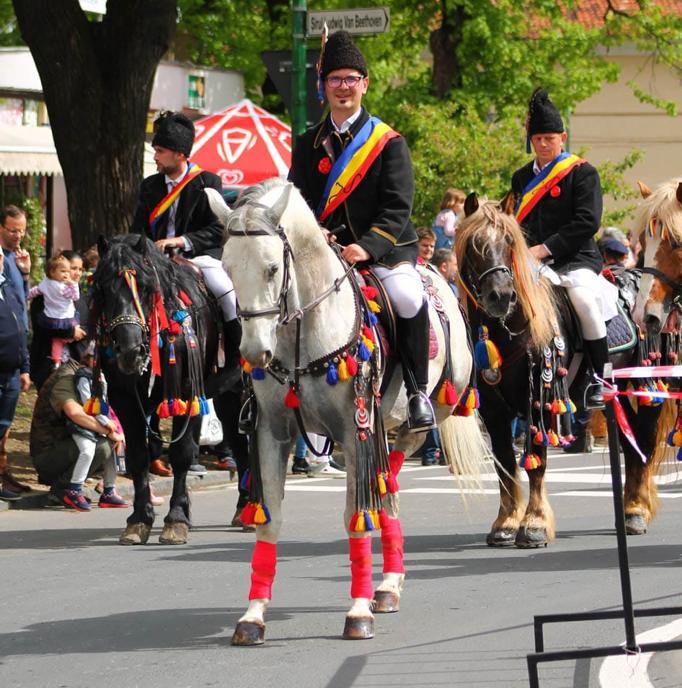 „Tradiția creșterii cailor de rasă lipițană din România” a fost inclusă în Lista Reprezentativă a Patrimoniului Cultural Imaterial al Umanității a UNESCO