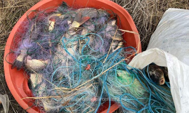 Polițiștii de frontieră au prins două persoane în timp ce pescuiau ilegal cu plase monofilament pe lacul Sinoe