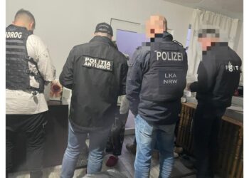 Poliția Română a cooperat cu autoritățile din Olanda, Polonia și Germania pentru destructurarea unei grupări de traficanți de droguri