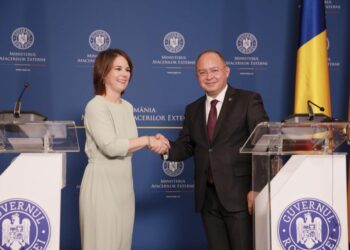 Ministrul afacerilor externe, întrevedere cu omologul său din Germania
