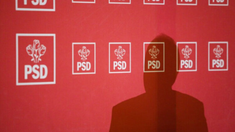 PSD solicită o anchetă extinsă, după ce o femeie a fost ucisă de câini în zona Parcului Morii din București