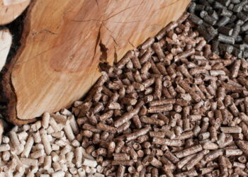 Peleți din rumeguș de rășinoase sau peleți din rumeguș de foioase – iată cele mai importante diferențe