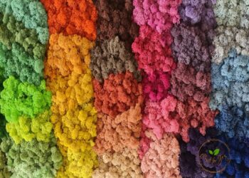 Magia lichenilor decorativi în mixuri de culori