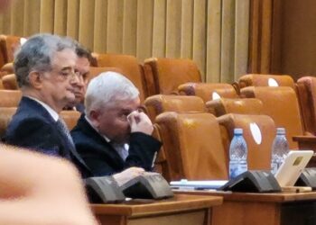 Bătaie în Parlament! Deputatul Florin Roman îl acuză pe Dan Vîlceanu că l-a lovit cu genunchiul în nas