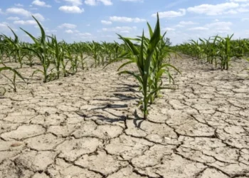 Seceta a pus stăpânire pe România! Sute de localități, secate de apă