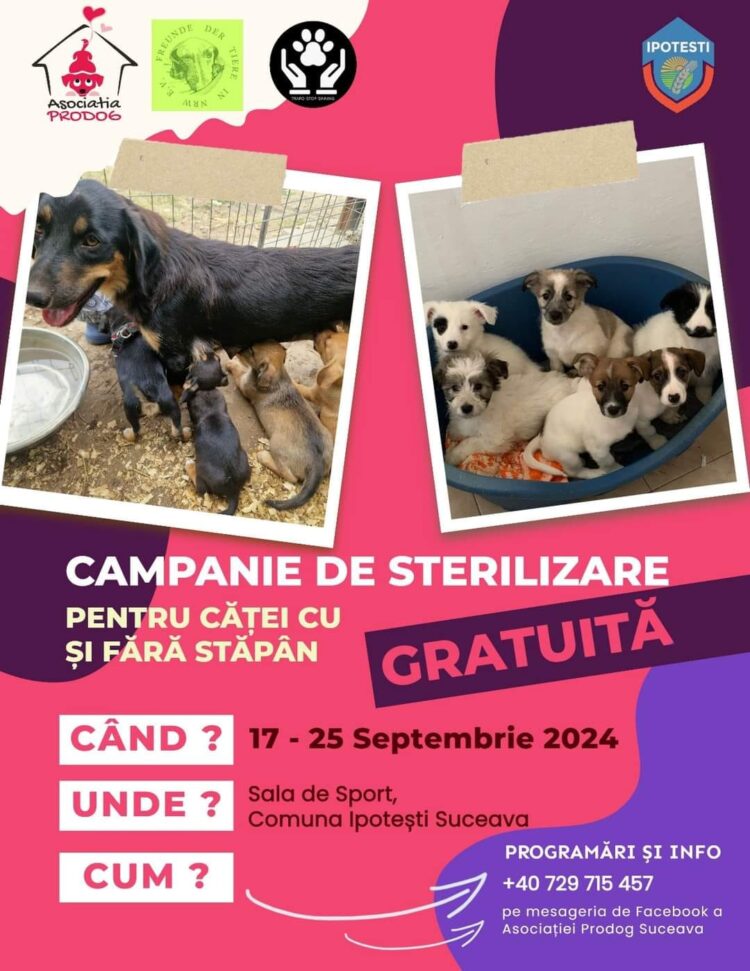 Campanie de sterilizare gratuită a câinilor cu și fără stăpâni, la Ipotești