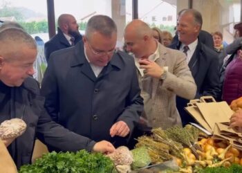 Reguli absurde pentru țăranii români – Fără pătrunjel, dulcețuri sau murături în piețe –  ANSVSA face jocul corporațiilor