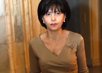 Doina Federovici: Cooperarea internațională, cheia atragerii fondurilor pentru dezvoltarea județulu