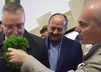 ANSVA, instituție controlată de PSD și PNL, vrea să pună condiții absurde țăranilor care vând pătrunjel și mărar