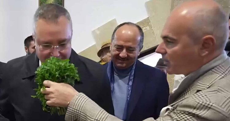 ANSVA, instituție controlată de PSD și PNL, vrea să pună condiții absurde țăranilor care vând pătrunjel și mărar