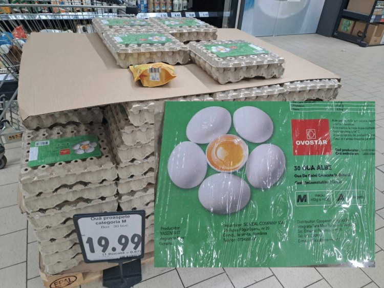 Se importă ouă din Ucraina. Situația e critică. PSD, complice