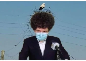 Nicușor Dan, care vrea să fie Președintele României, are un cuib de berze în freză!
