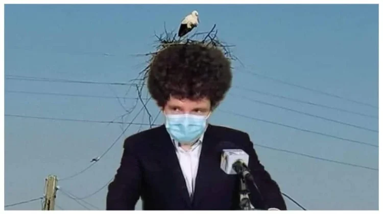Nicușor Dan, care vrea să fie Președintele României, are un cuib de berze în freză!