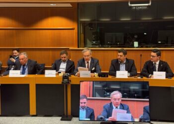 Prințul Serban Dimitrie Sturdza, europarlamentar AUR, în PE: România susține fără rezerve integrarea europeană a Macedoniei de Nord