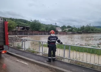 Pârâul Trebeș a ieșit din matcă la Mărgineni! Ce au făcut pompierii?
