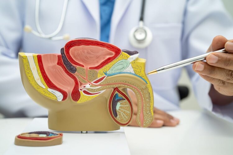 De ce nu trebuie ignorate infecțiile urinare la bărbați: riscuri și soluții